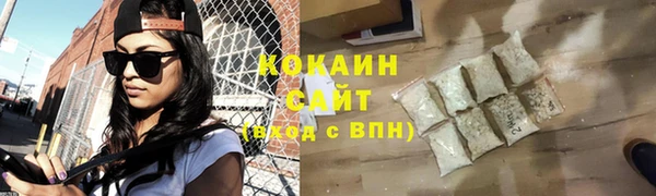 соль ск Инсар