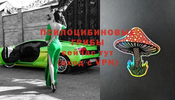 шишки Инта
