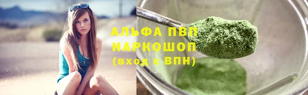 шишки Инта