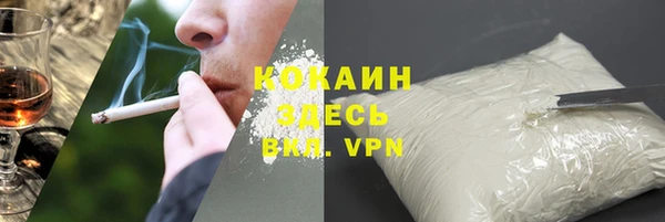 шишки Инта
