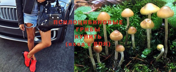 кокаин премиум Каменногорск