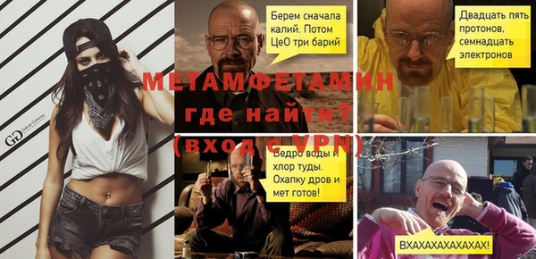 шишки Инта