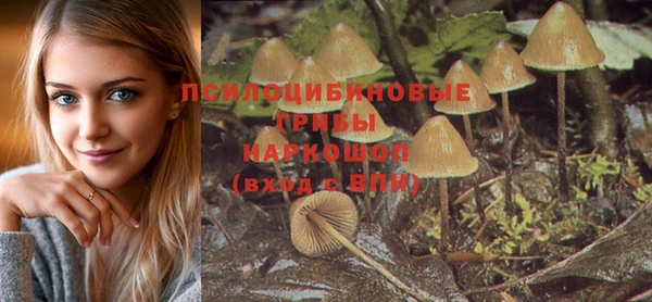 метадон Каменка