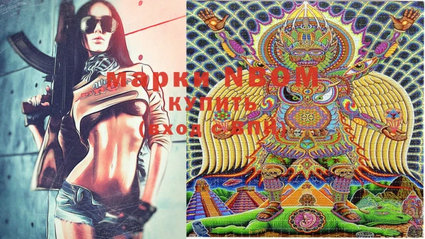 шишки Инта