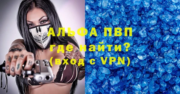 соль ск Инсар
