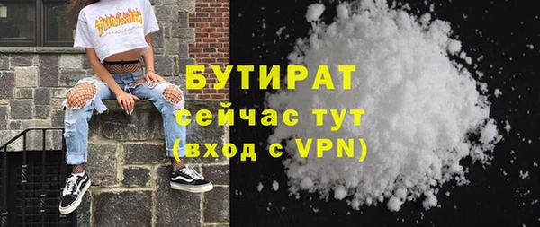 шишки Инта