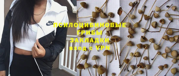 метадон Каменка