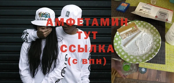 соль ск Инсар
