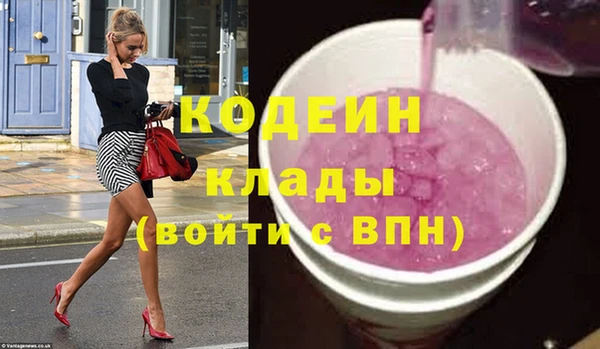 шишки Инта