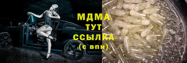 шишки Инта