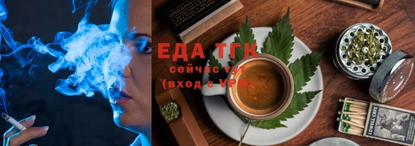 соль ск Инсар