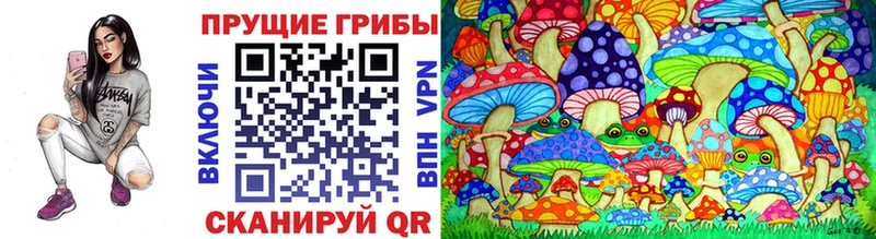 Галлюциногенные грибы MAGIC MUSHROOMS  магазин продажи наркотиков  Ялта 