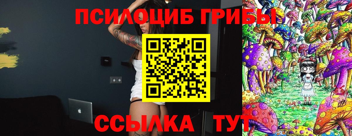 Псилоцибиновые грибы Magic Shrooms  Вход с VPN  Ялта  что такое   Галлюциногенные грибы прущие грибы 