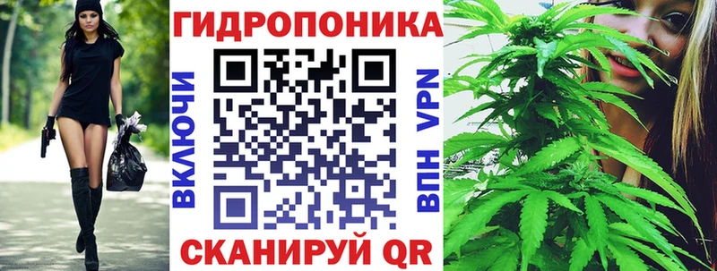 Бошки Шишки семена блэк спрут ONION Ялта наркотики