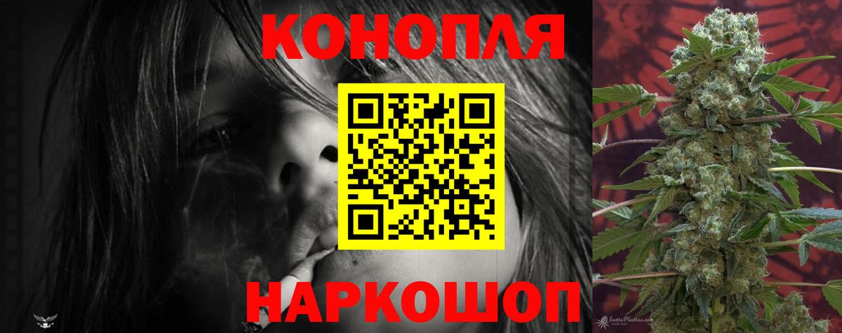 Конопля Ganja Ялта